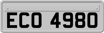 ECO4980