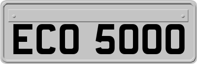 ECO5000