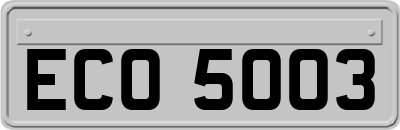 ECO5003