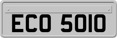 ECO5010