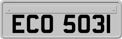 ECO5031