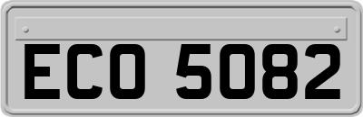 ECO5082
