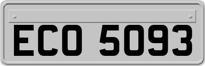 ECO5093