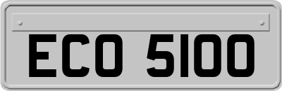 ECO5100