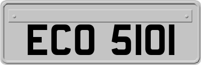 ECO5101
