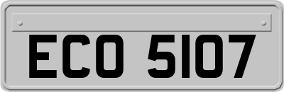 ECO5107
