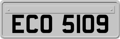 ECO5109