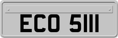 ECO5111