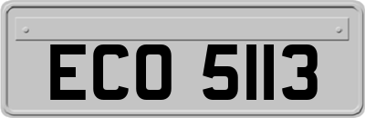 ECO5113