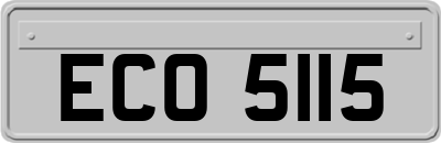 ECO5115
