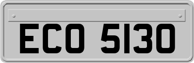 ECO5130