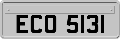 ECO5131