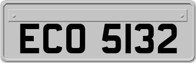 ECO5132