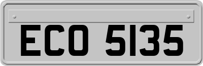 ECO5135