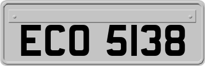 ECO5138