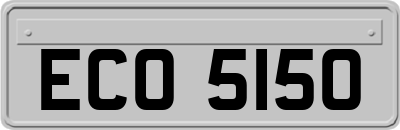 ECO5150