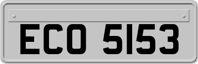 ECO5153