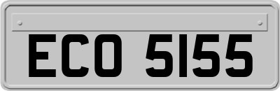 ECO5155