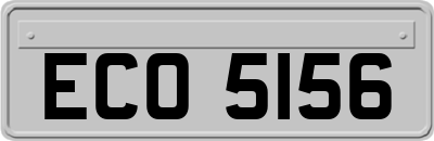 ECO5156