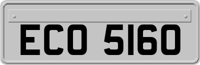 ECO5160