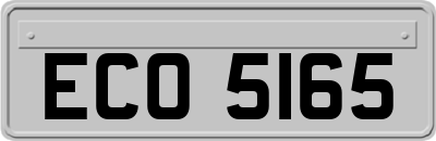 ECO5165