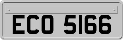 ECO5166