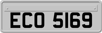 ECO5169