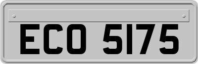 ECO5175