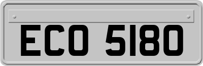 ECO5180