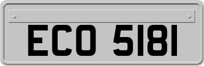 ECO5181