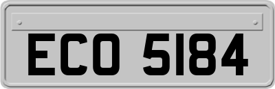 ECO5184