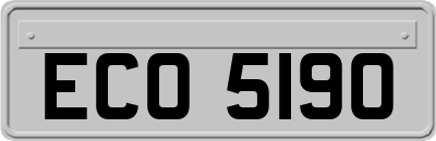 ECO5190