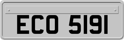 ECO5191