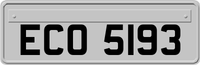 ECO5193