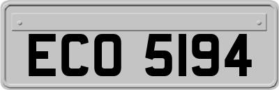 ECO5194