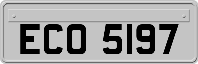 ECO5197