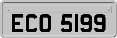 ECO5199
