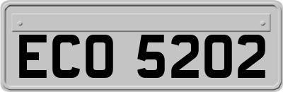 ECO5202