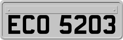 ECO5203