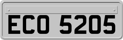 ECO5205