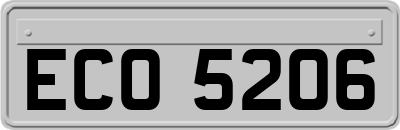 ECO5206