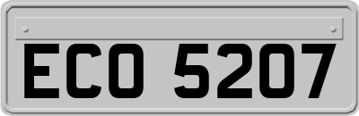 ECO5207