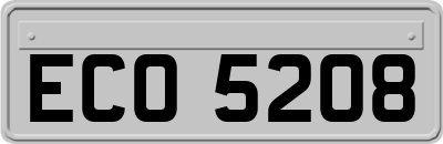 ECO5208