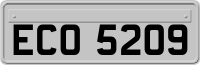 ECO5209