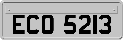 ECO5213