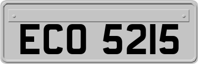 ECO5215
