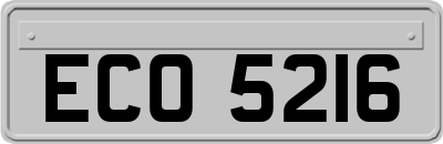 ECO5216