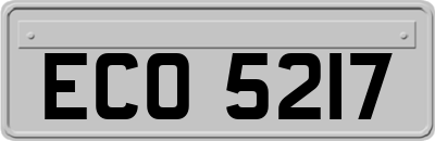 ECO5217