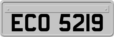ECO5219