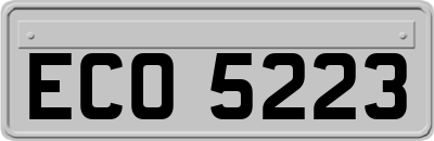 ECO5223